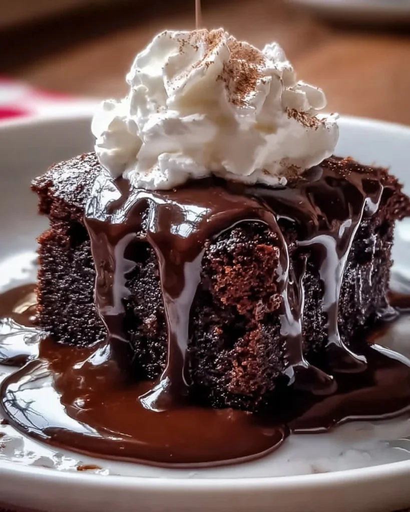 Delicious Hot Fudge Chocolate Pudding Cake topped with rich chocolate sauce