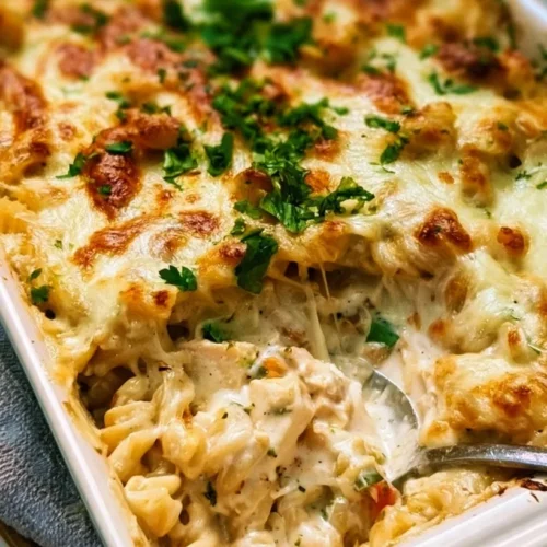 Dump-and-Bake Chicken Alfredo Casserole 2 Creamy Chicken Alfredo Casserole topped with cheese and herbs